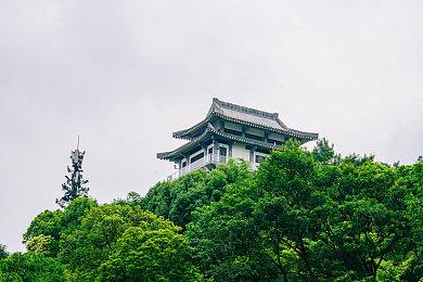 《艾尔登法环》新史低促销后 登顶Steam销量榜